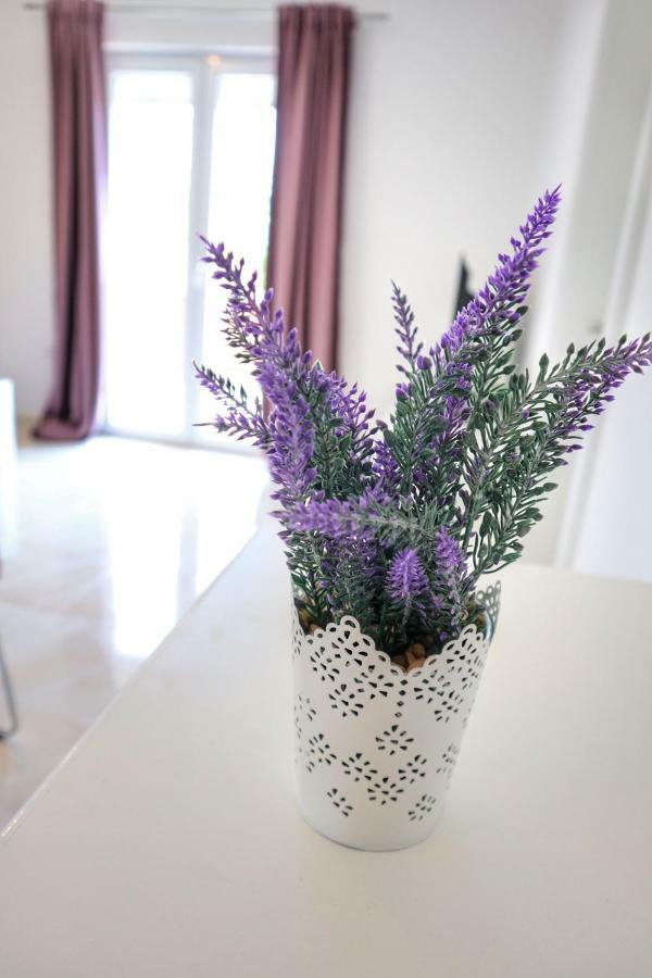 Appartement Velvet *